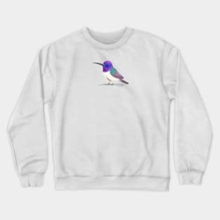 Ecuadorian Hillstar Hummingbird Crewneck Sweatshirt